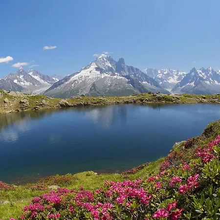 샬레 Luxury Chalet Located In An Exceptional Setting In The Mountains